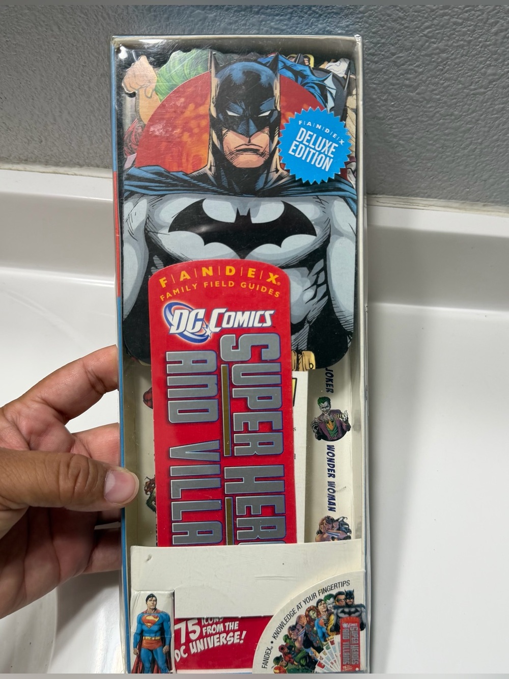 DC Comics Batman Super Hero and Villain Fan Guide